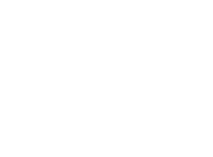 -_Janji