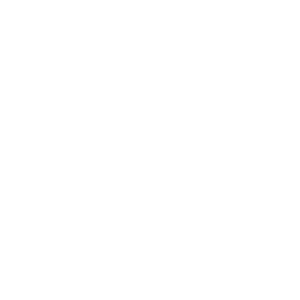 otis_logo_correct_size